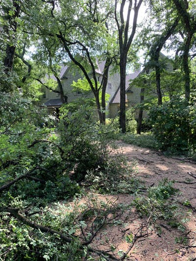 texas storm damages trees
