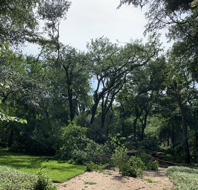 broken tree limbs from Texas storm