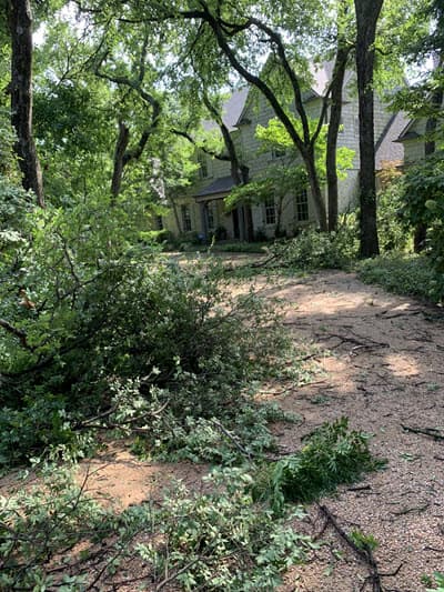 dallas tree damage