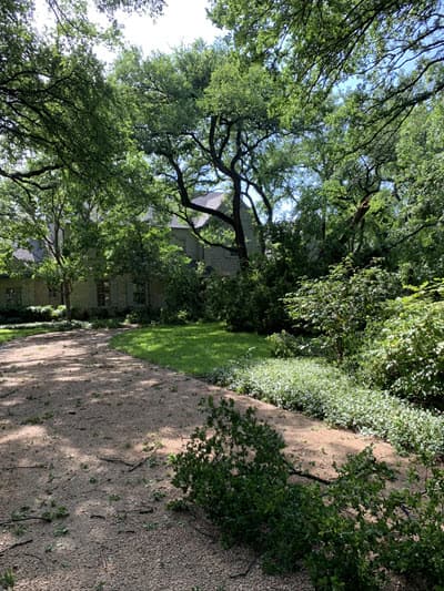 tree damage dallas house